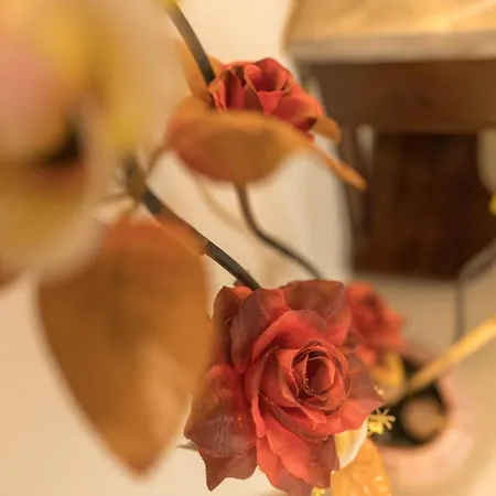 提灯旅馆 4* 马萨佛恩